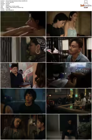 Vida S01 S03 1080p x265-DRM1