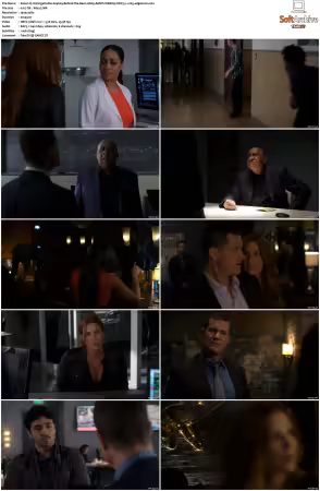 Unforgettable S01-S04 1080p AMZN WEBRip DDP 5.1 x265-edge2020