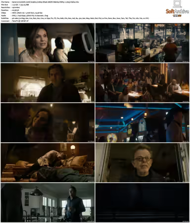 Goliath 2016 S01 S04 1080p DS4K AMZN Webrip DDP5.1 x265-Vialle