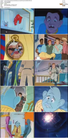 The Real Ghostbusters S01-S07 DVD REMUX-MIXED
