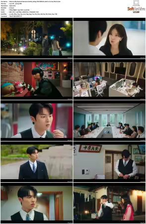 My Dearest Nemesis S01 1080p VIKI WEB-DL AAC2.0 H264-SiGLA
