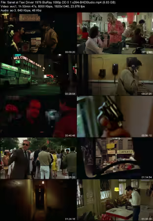 Taxi Driver 1976 BluRay 1080p DD 5.1 x264-BHDStudio