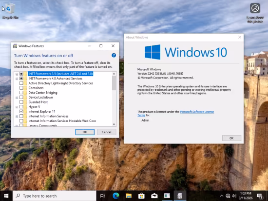 Windows 10 Enterprise/Iot Enterprise 22H2 build 19045.7058 Preactivated Multilingual March 2026