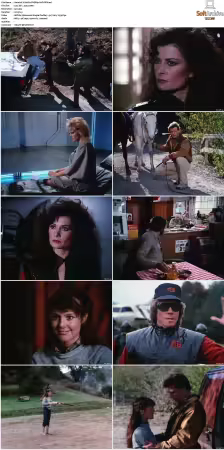 V Boxset 1983-2009 DVDRip XviD-Scene