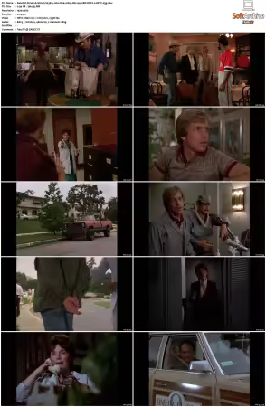 Simon and Simon S01 S08 1080p Blu-ray 10Bit DDP2.0 HEVC-d3g