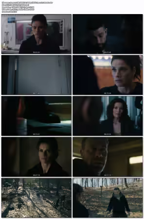 FBI S08E14 1080p HEVC Opus 5.1-Retr0