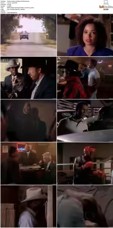 Walker Texas Ranger S01 S09 DVDRip XviD-Mixed