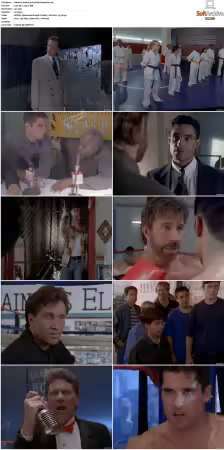 Walker Texas Ranger S01-S09 DVDRip XviD-Mixed