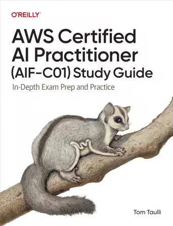 AWS Certified AI Practitioner (AIF-C01) Study Guide: In-Depth Exam Prep and Practice (True/Retauk EPUB)