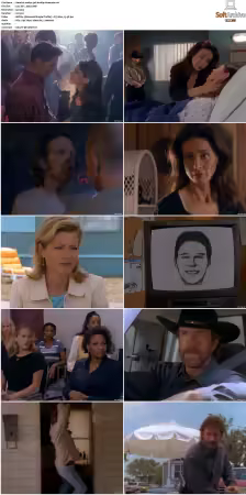 Walker Texas Ranger S01 S09 DVDRip XviD-Mixed