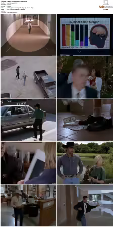 Walker Texas Ranger S01-S09 DVDRip XviD-Mixed