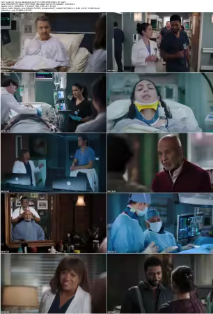 Greys Anatomy S22E15 720p WEB H264-JFF