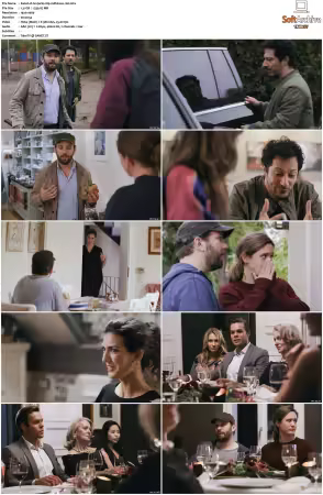 Jerks S01 S05 German 1080p WEB H264-Mixed