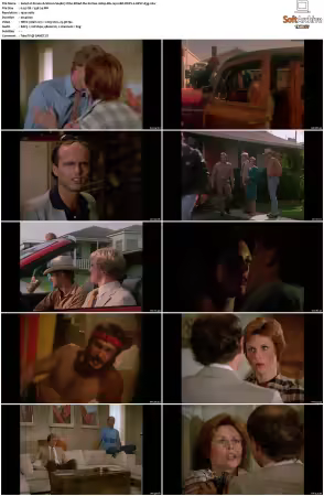 Simon and Simon S01-S08 1080p Blu-ray 10Bit DDP2.0 HEVC-d3g