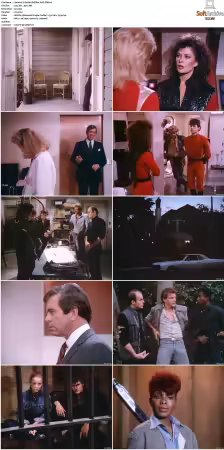 V Boxset 1983-2009 DVDRip XviD-Scene