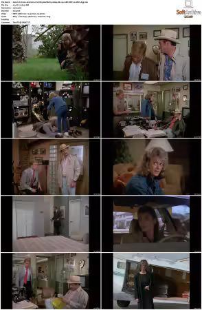 Simon and Simon S01-S08 1080p Blu-ray 10Bit DDP2.0 HEVC-d3g