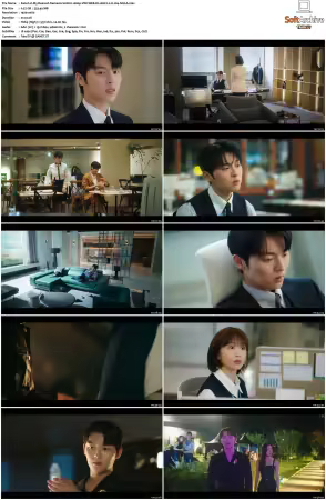 My Dearest Nemesis S01 1080p VIKI WEB-DL AAC2.0 H264-SiGLA