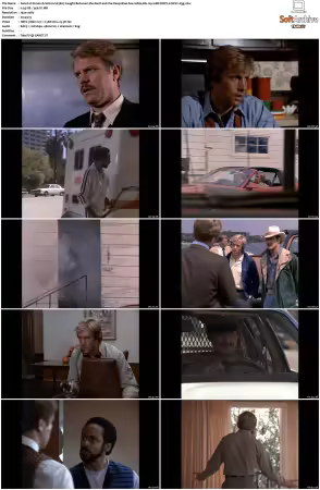 Simon and Simon S01 S08 1080p Blu-ray 10Bit DDP2.0 HEVC-d3g