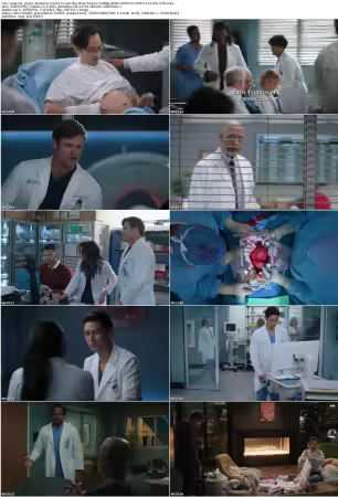 Greys Anatomy S22E13 Love the Way You Lie 1080p AMZN WEB-DL DDP5 1 H 264-NTb