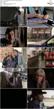 Walker Texas Ranger S01-S09 DVDRip XviD-Mixed