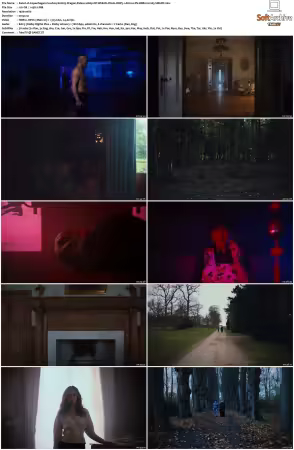 Copenhagen Cowboy S01 1080p NF WEB-DL DUAL DDPA5 1 HDR10 DV HEVC-SMURF