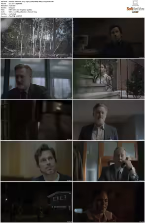 The Sinner 2017 S01 S04 1080p BDRip DDP5.1 x265-Vialle