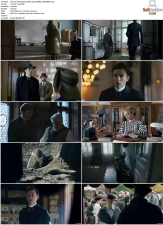 Vienna Blood S01 S04 1080p BluRay x265-MIXED