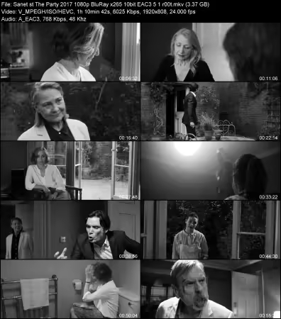 The Party 2017 1080p BluRay x265 10bit EAC3 5.1 r00t