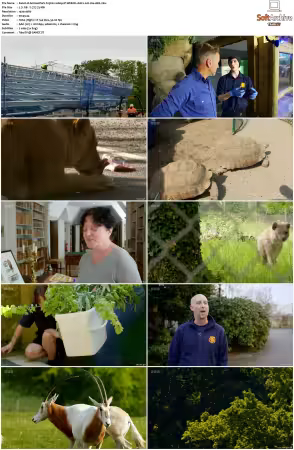 Animal Park S25 1080p iP WEB-DL AAC2.0 H264-AEK