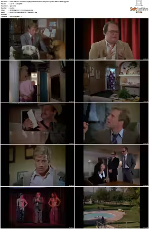 Simon and Simon S01-S08 1080p Blu-ray 10Bit DDP2.0 HEVC-d3g