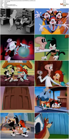 Animaniacs 1993 S01-S05 1080p UPSCALED DD 5.1 x265-EDGE2020