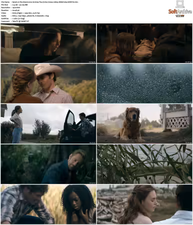 The Stand 2020 S01 1080p WEB h264-SOiNTA