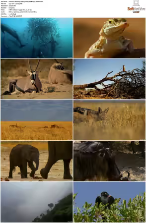 Wild Sky S01 2160p WEB h265-BAWD