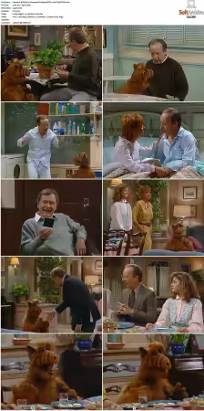 Alf S01 German DL 1080p MiXED x264-TVNATiON
