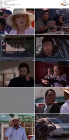 Walker Texas Ranger S01-S09 DVDRip XviD-Mixed