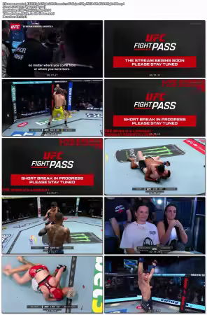 UFC Fight Night 269 Emmett Vs Vallejos 720p WEB-DL H264-FBB