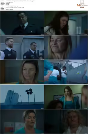 Wentworth S01-S09 1080p WEB h265-d3g