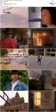 Walker Texas Ranger S01-S09 DVDRip XviD-Mixed
