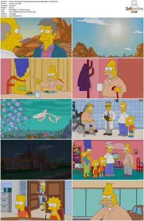 The Simpsons S22 1080p Web-DL x264-OFT