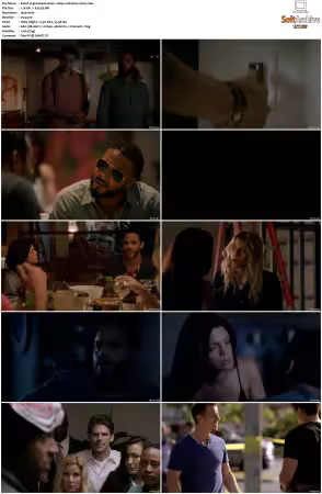 Graceland S01 S03 1080p WEB h264-NiXON
