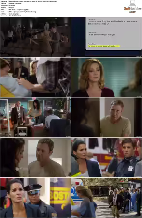 Rizzoli and Isles 2010 S01-S07 1080p NF WEB-DL DDP5.1 AV1-Vialle