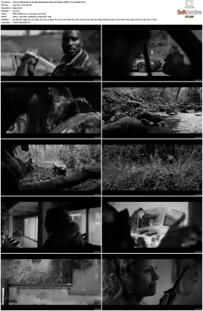 Black Mirror S04 2160p NF WEB-DL DDP5.1 H265-XEBEC