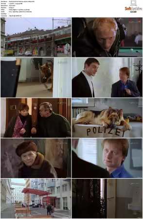 Kommissar Rex S01-S10 German 1080p HDTV x264-OMGtv