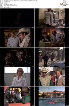 Simon and Simon S01-S08 1080p Blu-ray 10Bit DDP2.0 HEVC-d3g