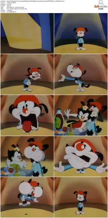 Animaniacs 1993 S01 S05 1080p UPSCALED DD 5.1 x265-EDGE2020