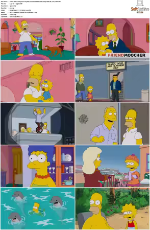 The Simpsons S27 1080p Web-DL x264-OFT