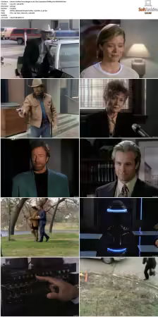 Walker Texas Ranger S01-S09 DVDRip XviD-Mixed