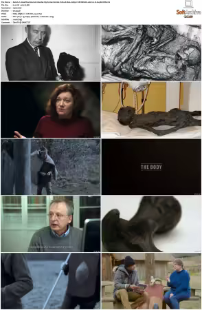 Unearthed Ancient Murder Mysteries S01 1080p CUR WEB-DL AAC2 0 H 264-BLOOM