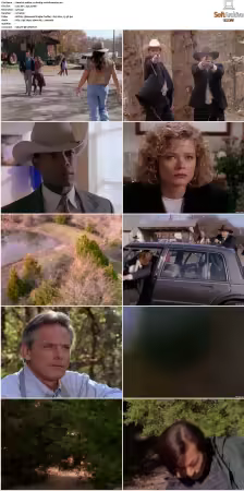 Walker Texas Ranger S01 S09 DVDRip XviD-Mixed
