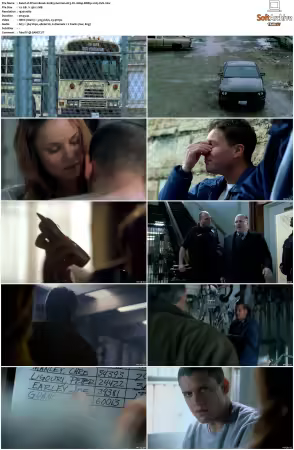 Prison Break S01 S05 German AC3 DL 1080p BDRip x265-FuN